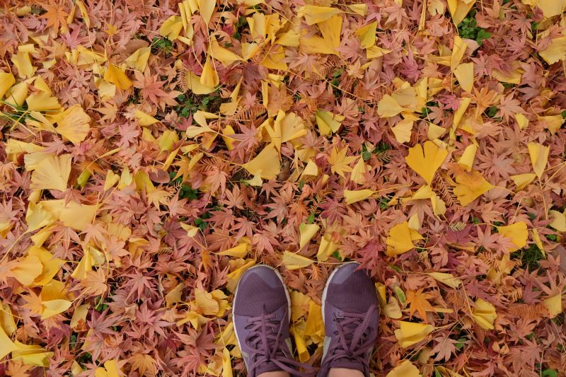 Du lịch Nhật một mình